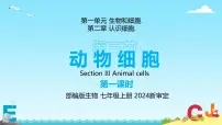 初中生物人教版（2024）七年级上册（2024）第一单元 生物和细胞第二章 认识细胞第三节 动物细胞精品ppt课件