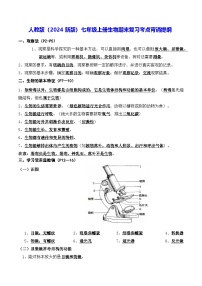 人教版（2024新版）七年级上册生物期末复习考点背诵提纲 讲义