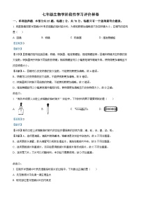 江苏省句容市2023-2024学年七年级下学期期末生物试题（解析版）