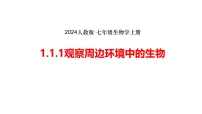 初中生物人教版（2024）七年级上册（2024）第一节 观察周边环境中的生物教学免费课件ppt