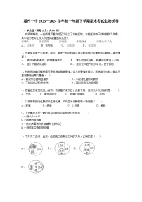 广东省惠州市第一中学教育集团2023-2024学年七年级下学期期末考试生物试题