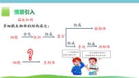 初中生物第四节 单细胞生物多媒体教学课件ppt