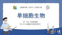 生物七年级上册（2024）第一单元 生物和细胞第三章 从细胞到生物体第四节 单细胞生物教课课件ppt