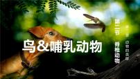 初中生物人教版（2024）七年级上册（2024）三 鸟和哺乳动物课前预习课件ppt