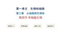 人教版（2024）七年级上册（2024）第四节 单细胞生物多媒体教学课件ppt