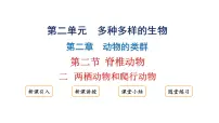 初中生物人教版（2024）七年级上册（2024）二 两栖动物和爬行动物说课ppt课件