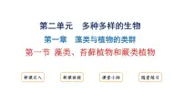 人教版（2024）七年级上册（2024）第一节 藻类、苔藓和蕨类教课内容课件ppt