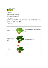 08 绿叶在光下制作淀粉-七年级实验-2024-2025学年度初中生物微专题实验探索学案