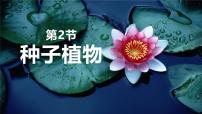 初中生物人教版（2024）七年级上册（2024）第二节 种子植物优秀ppt课件