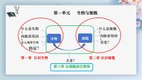 初中生物人教版（2024）七年级上册（2024）第四节 单细胞生物教学课件ppt