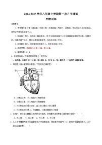 2024-2025学年八年级生物上学期第一次月考模拟卷（苏科版）