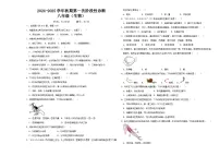 河南省郑州陈中实验学校2024--2025学年八年级上学期第一次月考 生物试卷