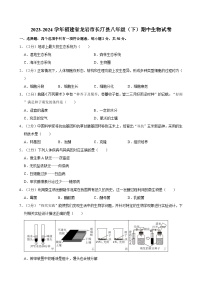 福建省龙岩市长汀县2023-2024学年八年级下学期期中生物试卷