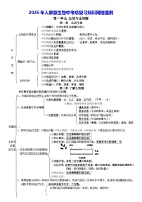 2025年人教版生物中考总复习知识网络提纲详细版 学案