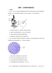 中考科学三年(2021-2023)真题分项汇编(浙江专用)专题37生物体的结构层次专题特训(原卷版+解析)