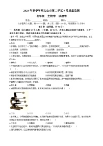 云南省文山壮族苗族自治州文山市第三中学2024-2025学年七年级上学期9月月考生物试题