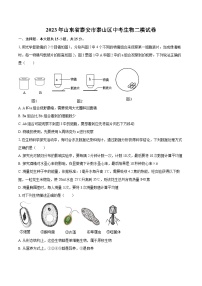 2023年山东省泰安市泰山区中考生物二模试卷