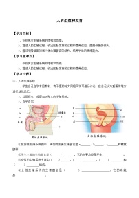 初中北师大版（2024）第1节   人的生殖和发育导学案