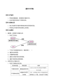 北师大版（2024）八年级上册第5节  遗传与环境导学案及答案