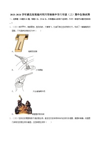 湖北省恩施州利川市柏杨中学2023-2024学年八年级上学期期中生物试卷