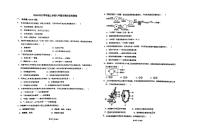 山东省青岛市城阳第九中学2024-—2025学年七年级上学期10月阶段性检测生物检测试卷