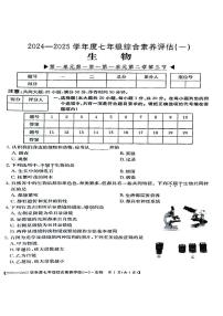 2024秋七年级上学期9月份第一次月考生物试卷及答案（人教版）