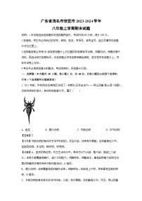 [生物]广东省茂名市信宜市2023-2024学年八年级上学期期末试题(解析版)