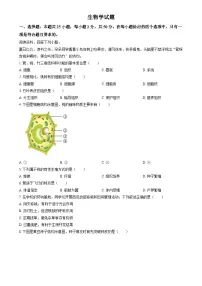 2024年福建省中考生物真题（原卷版）