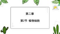 初中生物人教版（2024）七年级上册（2024）第二节 植物细胞教学课件ppt