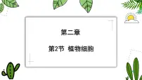初中生物人教版（2024）七年级上册（2024）第二节 植物细胞教学课件ppt