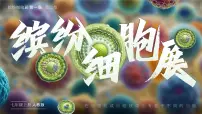 生物七年级上册（2024）第二节 植物细胞教学课件ppt