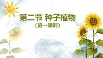 初中生物人教版（2024）七年级上册（2024）第二节 种子植物说课ppt课件