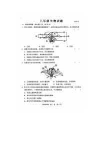 山东省河泽市经济技术开发区多校联考2024-2025学年八年级上学期10月月考生物试题