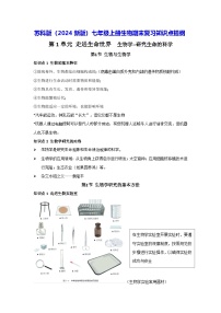 苏科版（2024新版）七年级上册生物期末复习知识点提纲