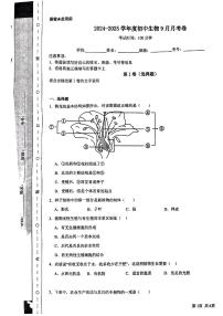 山东省枣庄市峄城区东方学校2024-2025学年八年级上学期10月生物月考卷