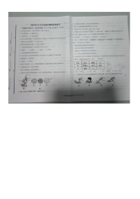 山东省德州市德城区德州市第十中学2024-2025学年七年级上学期生物10月月考生物试题