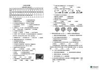 山东省青岛市城阳区青岛培文学校2024--2025学年七年级上学期10月月考生物试题