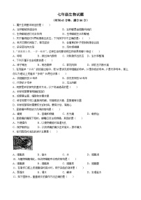 山东省青岛市城阳区青岛培文学校2024--2025学年七年级上学期10月月考生物试题(无答案)