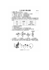 山东省经济技术开发区多校联考2024-2025学年九年级上学期10月月考生物试题