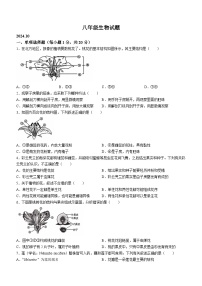 山东省菏泽市菏泽经济技术开发区2024-2025学年八年级上学期10月月考生物试题(无答案)