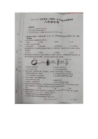 河北省保定市高碑店市2024-2025学年八年级上学期10月月考生物试题