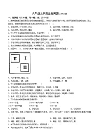 山东省临沂市第六中学2024-2025学年八年级上学期10月月考生物试题