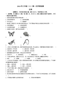 湖南省邵阳市邵东市2024-2025学年八年级上学期10月月考生物试题