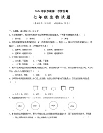 江苏省盐城市大丰区飞达路初级中学2024-2025学年七年级上学期10月月考生物试题