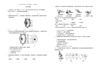 湖北省黄冈市黄冈市部分学校2024—-2025学年七年级上学期10月月考生物试题