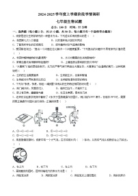 山东省临沂市临沭县第二初级中学2024-2025学年七年级上学期10月月考生物试题(无答案)