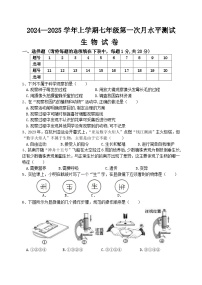 河南省新乡市原阳县2024-2025学年七年级上学期10月月考生物试题