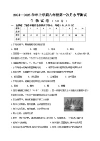 河南省新乡市原阳县2024-2025学年八年级上学期10月月考生物试题