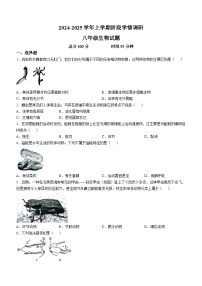 山东省临沂市临沭县第二初级中学2024-2025学年八年级上学期10月月考生物试题(无答案)