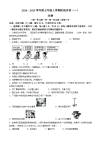 河南省南阳市方城县初中联考2024-2025学年七年级上学期10月月考生物试题(无答案)